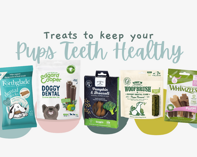 Doggy Dental Range