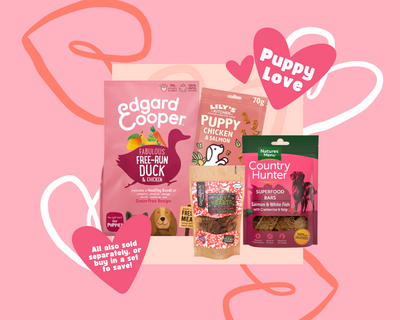 The Puppy Essentials Set!