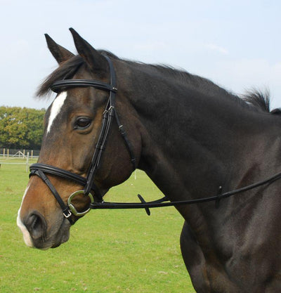 Heritage English Leather Bridle with Flash Noseband - Jacks Pet and Country