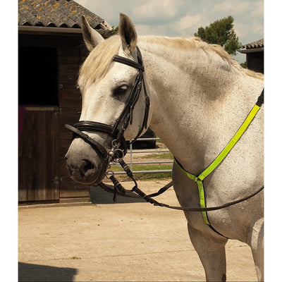 Hi Vis Neck Strap - Martingale - Jacks Pet and Country