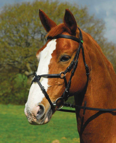 Rhinegold German Leather Comfort Bridle with Mexican Noseband - Jacks Pet and Country