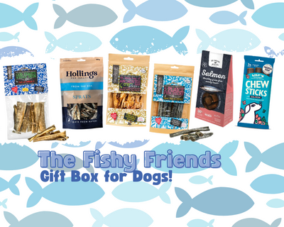 The Fishy Friends Gift Box for Dogs!