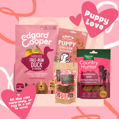 Lily's Kitchen (Puppy Love Set) Puppy Essentials Kit by Jack's Pet & Country