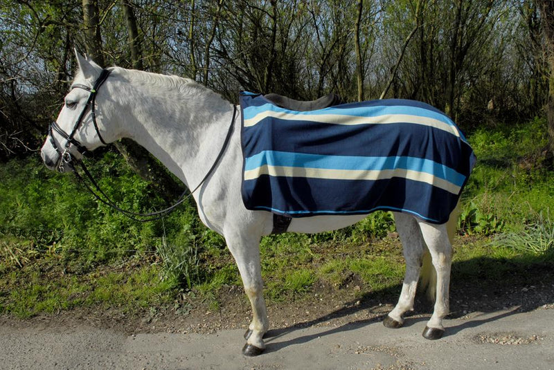 Blue Stripe Fleece Ride on Exercise Sheet - Jacks Pet and Country