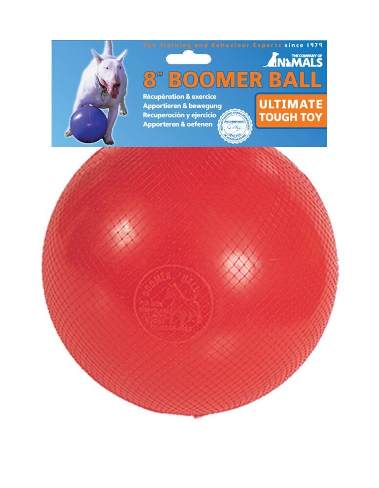 Boomer Ball 20cm - Jacks Pet and Country