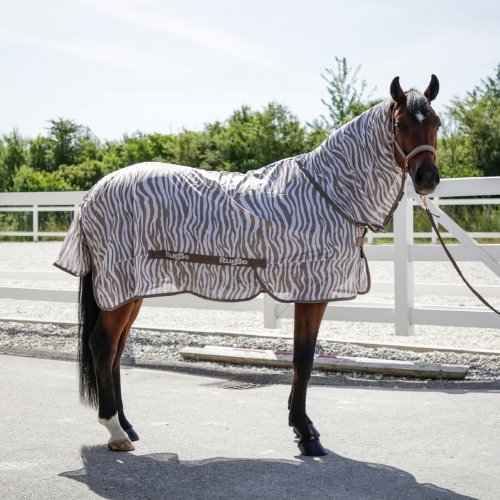 Covalliero Fly Blanket RugBe Zebra - Jacks Pet and Country