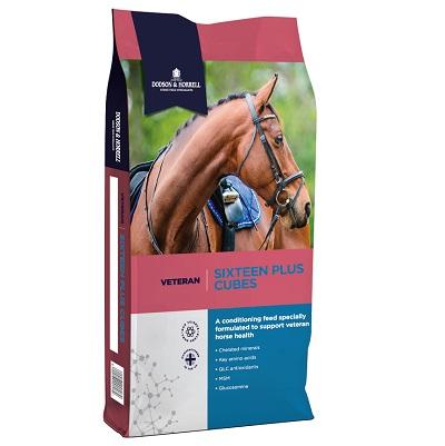 Dodson & Horrell Sixteen Plus Cubes 20kg - Jacks Pet and Country