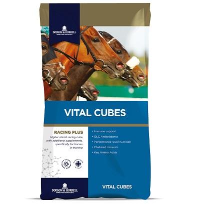 Dodson & Horrell Vital Cubes 25kg - Jacks Pet and Country
