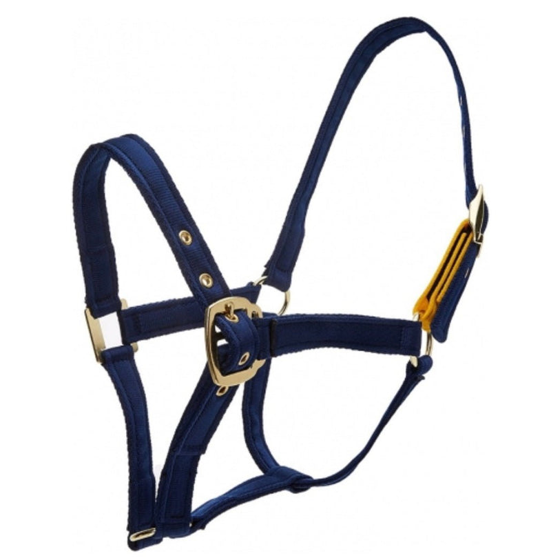 Eclipse Field Safe Head Collar Navy - Jacks Pet and Country