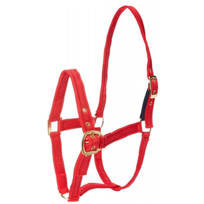 Eclipse Field Safe Head Collar Red - Jacks Pet and Country