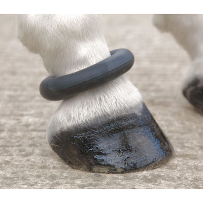 Fetlock Ring One Size Leather Strap - Jacks Pet and Country