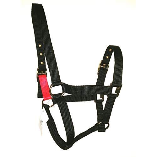 Field Safe Headcollar with Quick Release - Jacks Pet and Country