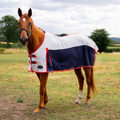 Gallop Air- Mesh Summer Sheet - Jacks Pet and Country