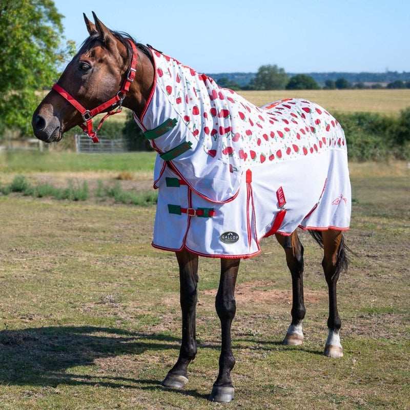 Gallop Berries and Cherries Mesh Combo Fly Rug - Jacks Pet and Country