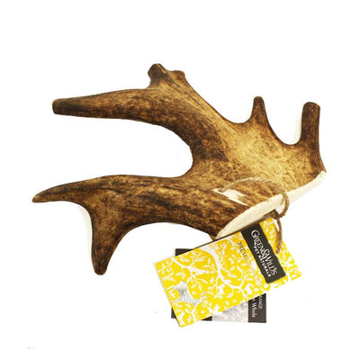 Green & Wild's Fallow Antler Dog Chew Large - Jacks Pet and Country