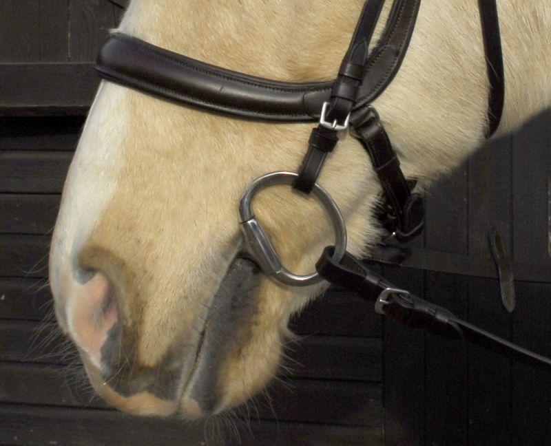 Heritage Anatomical Cavesson Bridle - Jacks Pet and Country