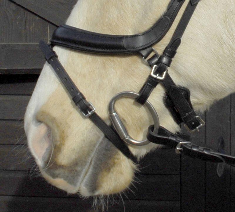 Heritage Anatomical Flash Bridle - Jacks Pet and Country