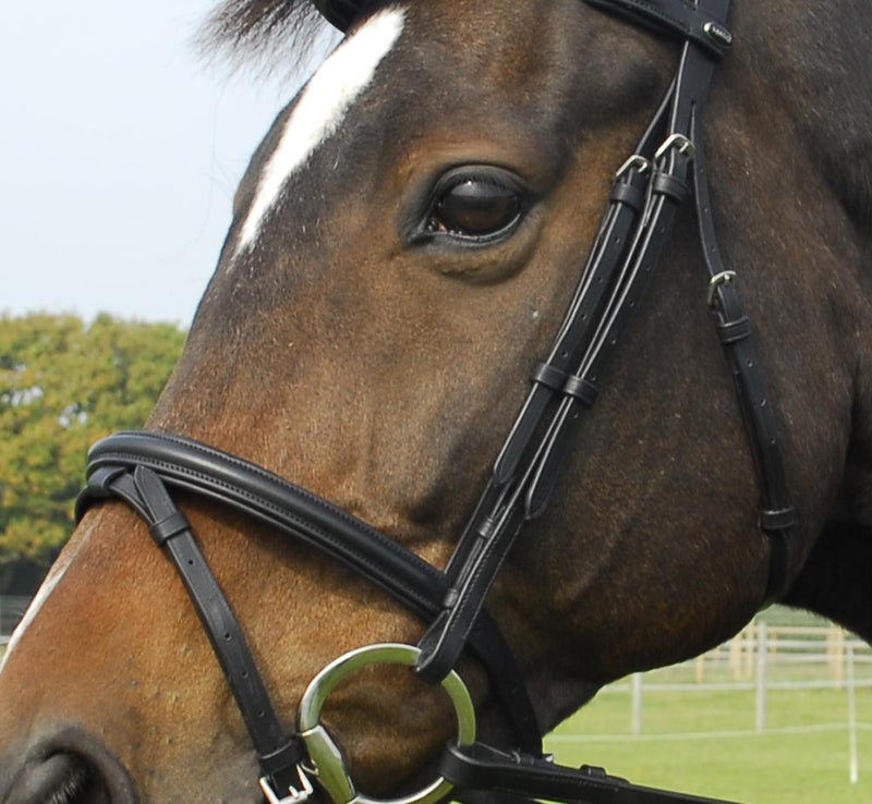 Heritage English Leather Bridle with Flash Noseband - Jacks Pet and Country