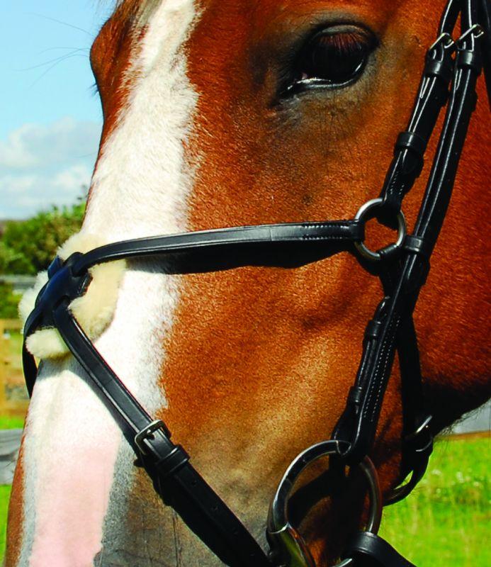Heritage English Leather Bridle with Mexican Noseband - Jacks Pet and Country