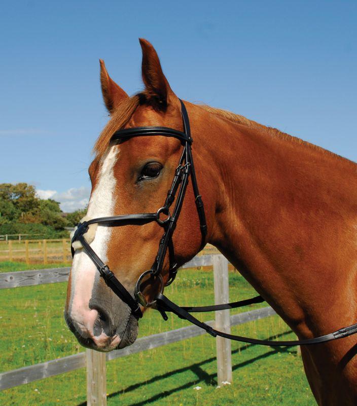 Heritage English Leather Bridle with Mexican Noseband - Jacks Pet and Country