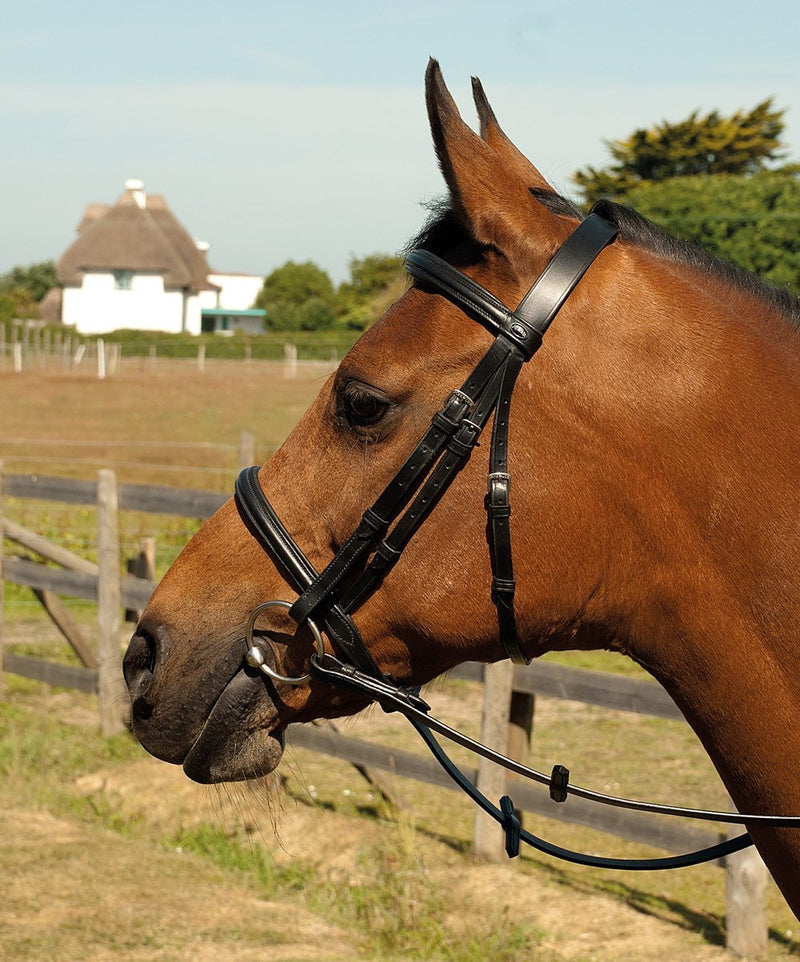 Heritage English Leather Bridle with Raised Cavesson Noseband - Jacks Pet and Country