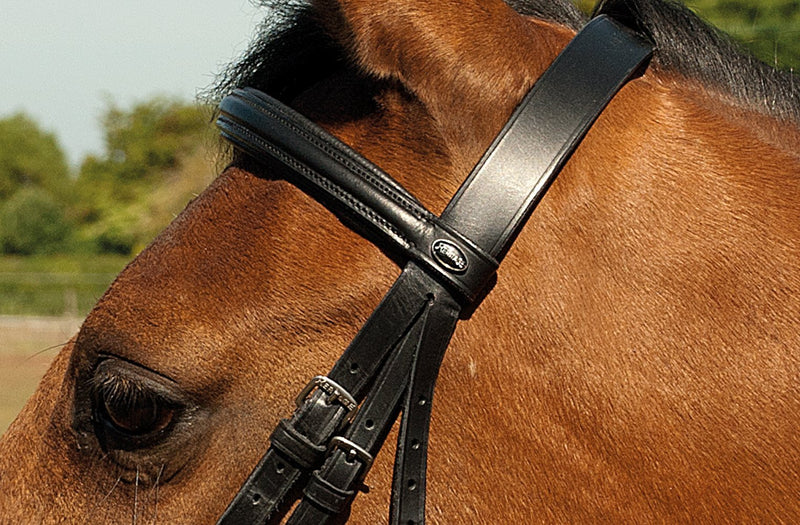 Heritage English Leather Bridle with Raised Cavesson Noseband - Jacks Pet and Country