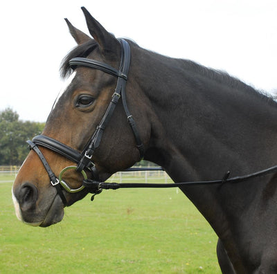 Heritage English Leather 'Comfort' bridle with Flash Noseband - Jacks Pet and Country