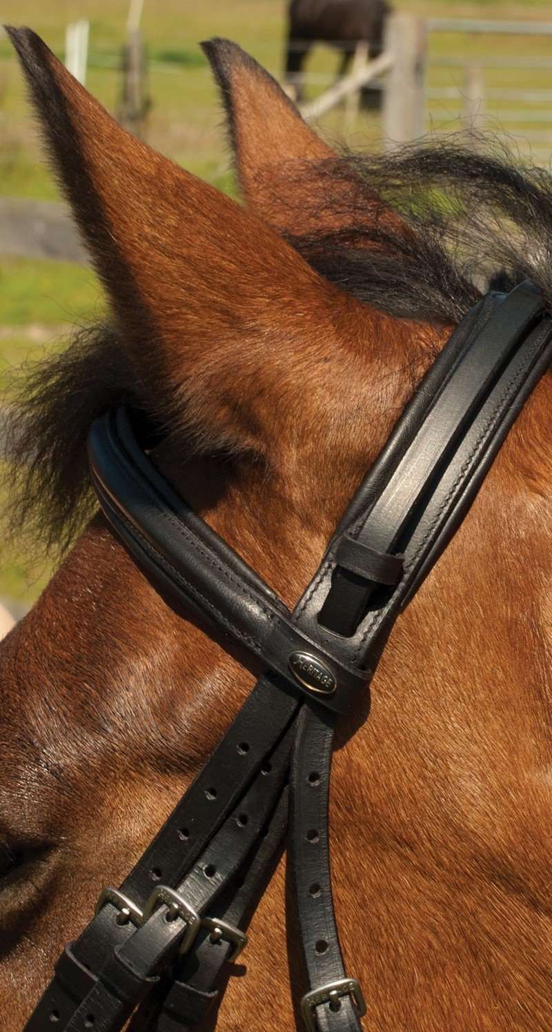 Heritage English Leather Double Comfort Bridle - Jacks Pet and Country