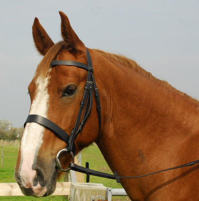 Heritage English Leather Hunter Bridle with Wide Cavesson Noseband - Jacks Pet and Country