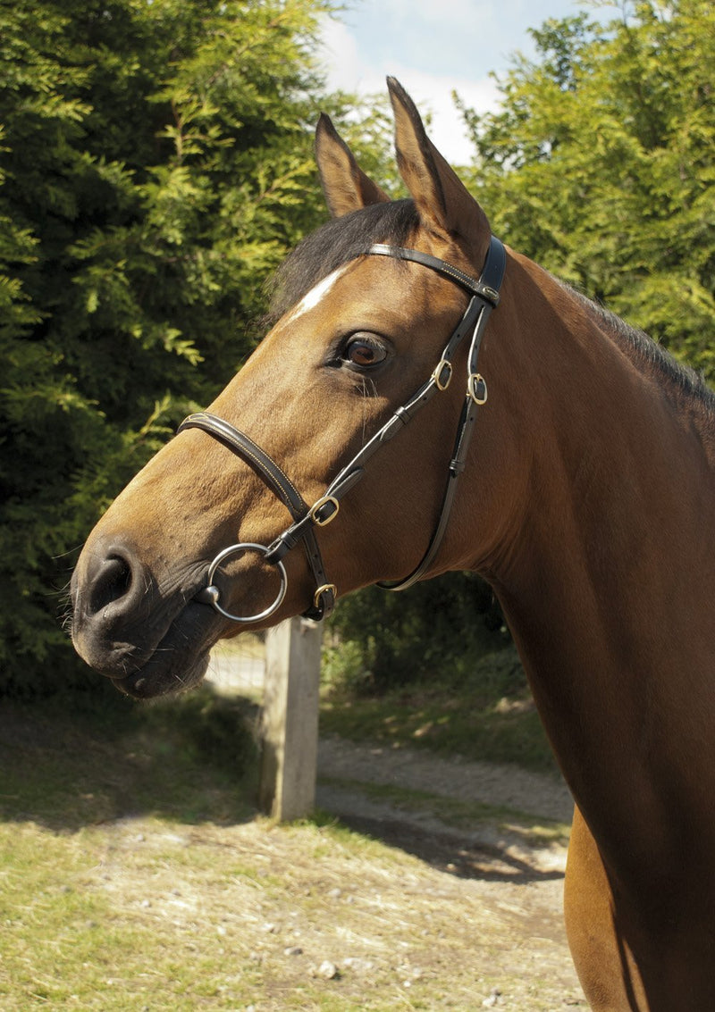 Heritage English Leather In-Hand Bridle - Jacks Pet and Country
