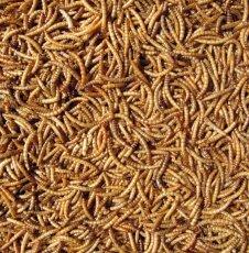 Hutton Mill Mealworms 1kg bird food winter protein- Jacks Pet and Country