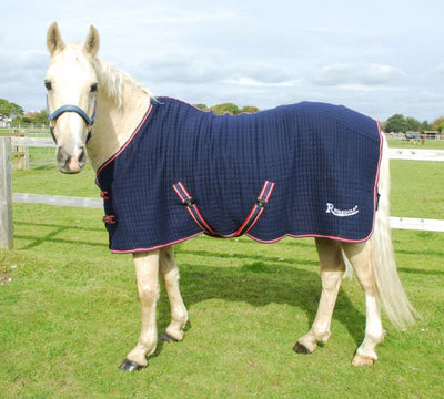 Premium Tech Celltex Cooler Rug - Jacks Pet and Country