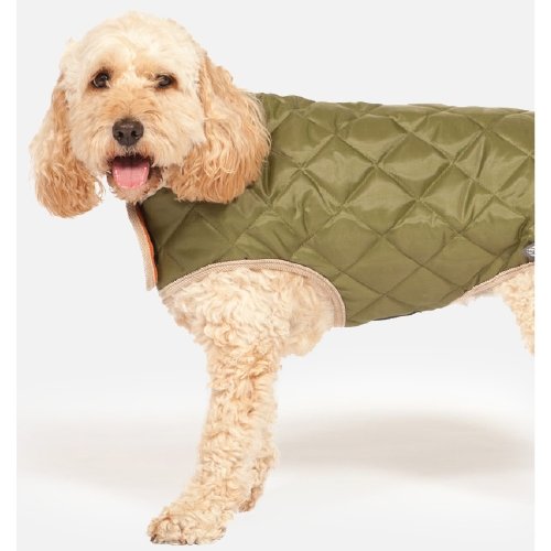 Quilted Dog Coat - Jacks Pet and Country