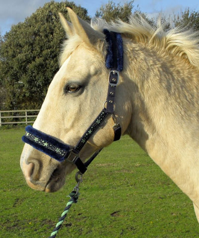 Rhinegold Crystal Star Headcollar & Leadrope Set - Jacks Pet and Country