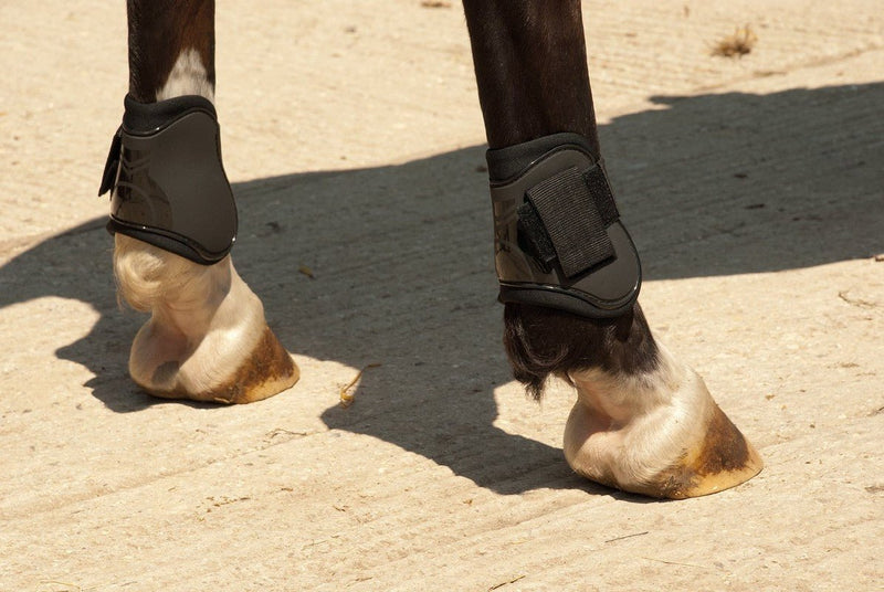 Rhinegold Fetlock Boots - Jacks Pet and Country