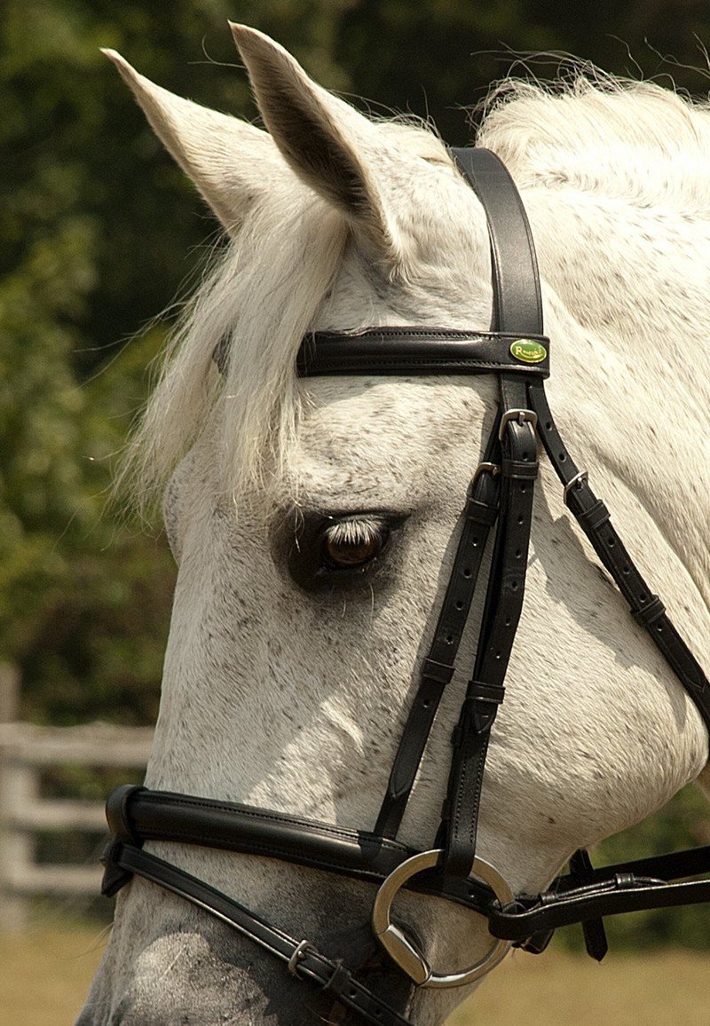 Rhinegold German Leather Bridle with Detachable Flash Noseband - Jacks Pet and Country