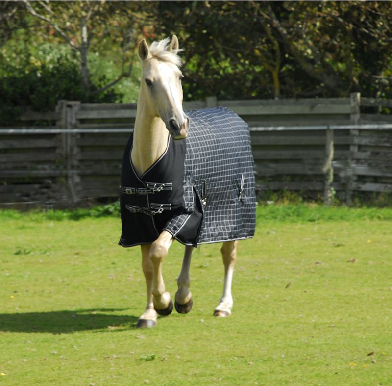 Rhinegold Montpellier Standard Neck Turnout Rug 100g - Jacks Pet and Country