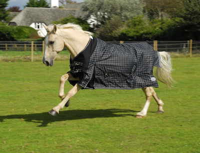 Rhinegold Montpellier Standard Neck Turnout Rug 100g - Jacks Pet and Country