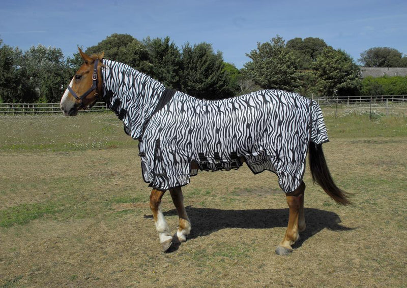 Rhinegold Sahara Zebra Print Full Neck Fly Rug - Jacks Pet and Country
