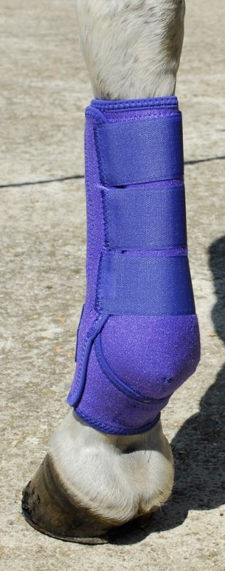 Rhinegold Sports Medicine Boots - Purple - Jacks Pet and Country