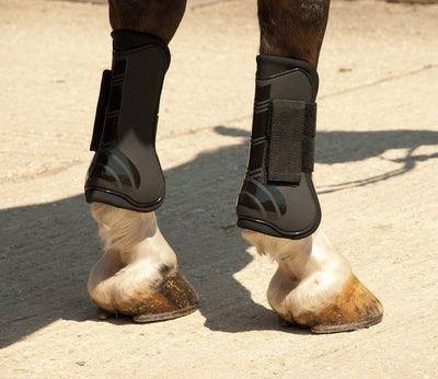 Rhinegold Tendon Boots - Jacks Pet and Country