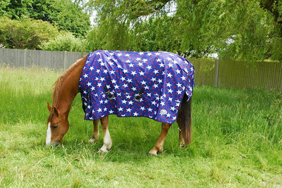 Rhinegold Torrent Star Design Turnout Rug - Jacks Pet and Country