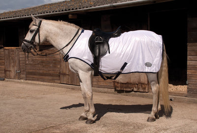 Ride on Fly Rug - Jacks Pet and Country