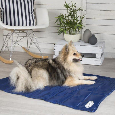 Scruffs Cool Mat (Various Sizes) - Jacks Pet and Country