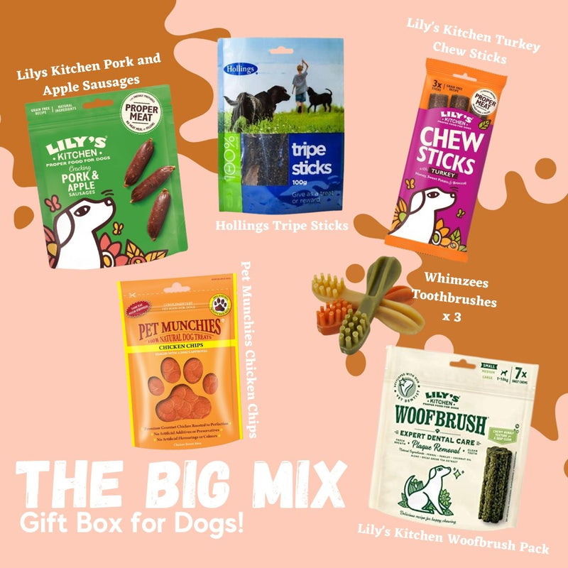 The Big Mix Dog Gift Box - Jacks Pet and Country