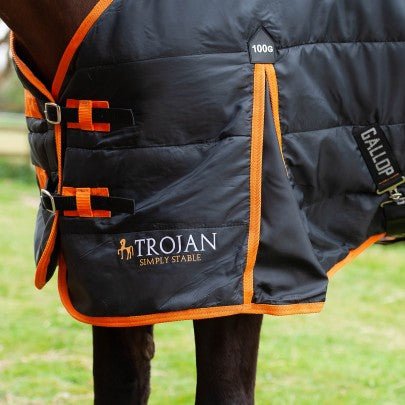Trojan Stable Rug - 100g - Jacks Pet and Country