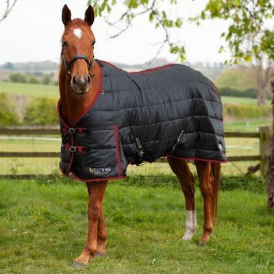 Trojan Stable Rug - 50g - Jacks Pet and Country