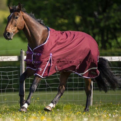 Trojan Xtra Lightweight Turnout 0g - Jacks Pet and Country